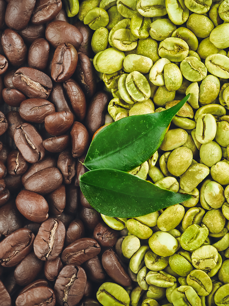 Coffee (Green and Roasted)